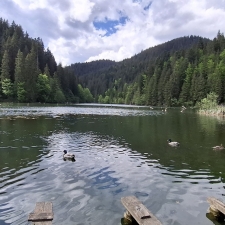 gyilkosto bekasszoros 006