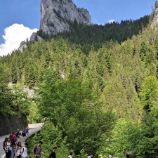 gyilkosto bekasszoros 009