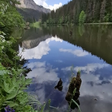 gyilkosto bekasszoros 013