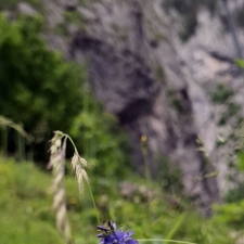 gyilkosto bekasszoros 018