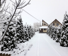 sovidekpanzio karacsony 2020