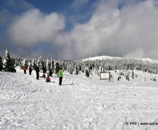 madarasi hargita 003