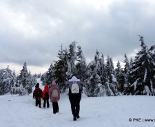 madarasi hargita 033