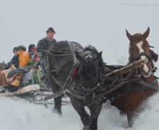 sovidekpanzio tel kepek 055