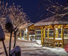 dezsafurdozes sosdezsa 003