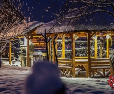 dezsafurdozes sosdezsa 004